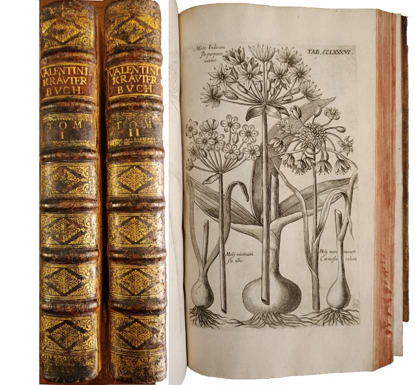 Books | Bergbook